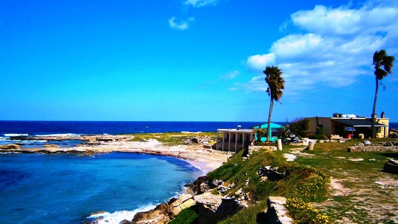 مهاجرت به قبرس شمالی